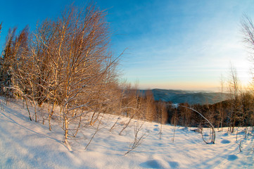 clearing in the winter mountains on a sunny day for outdoor activities and walks
