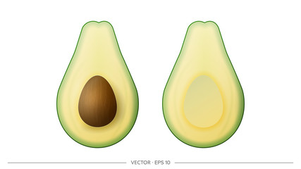 Cut avocado with bone. Half pitted avocado isolated on a white background. Realistic vector set.