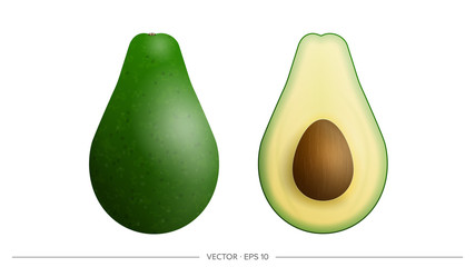 Avocado vector set. Realistic whole and half avocado with bone. Isolated on a white background.