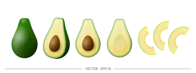 Big vector set of green avocado. Realistic avocado isolated on a white background.