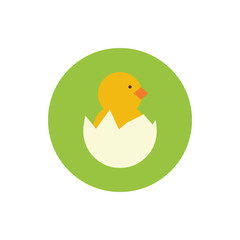 cute little chick in eggshell spring block and flat style
