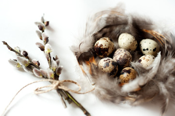 quail eggs and feathers on white background
