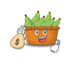Smiley rich pear fruit box cartoon character bring money bags