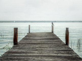 Wooden pier in Bacalar lagoon in Mexico. Misty and foggy weather. Mexican grackle is sitting in the corner. Early morning on seven colors fresh water lake. 
