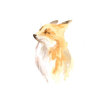 Cute watercolor fox screw up eyes