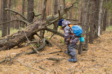 young boy at the forest.