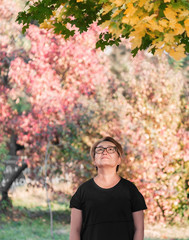 Ordinary Asian woman in the park, looks up at the yellow foliage, little gray hair, sunny day in autumn, space for text