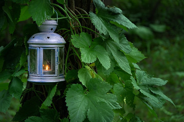 lantern with candle in garden.  atmosphere mystic nature image. copy space