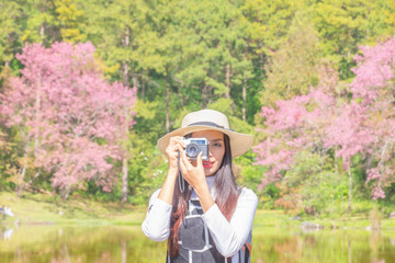 Fototapeta premium Smiling woman traveler in pink sakura blossom park at doi inthanon&nbsp;landmark chiang mai thailand with backpack holding vintage camera on holiday, relaxation concept, travel concept