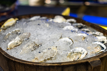 Fresh oysters ready to eat, frozen in a wooden bucket