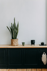 kitchen corner interior, decorative elements, cute house, eco-friendly , modern minimalist design, plants , light walls