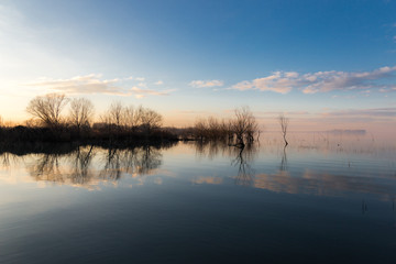 A symmetric photo of a lake, with trees and sky reflections on water at golden hour