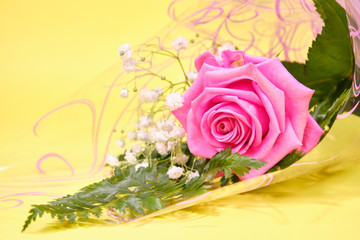 Pink rose with a leaf of green fern and a hypsophila Bush on a yellow background, place for text.