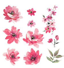 Flowers watercolor illustration.Manual composition.Big Set watercolor elements.
