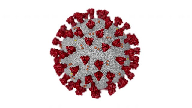 Animation of cell infected with Novel Coronavirus. Slowly spinning with white background.