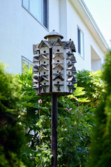 four-story wooden white condo for birds. green foliage and white building facade on the background. one little bird in the bird house window