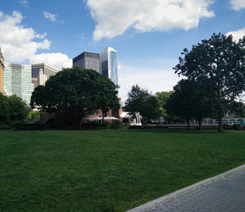 Lawn in the shade against the background of city buildings. Lawn with trees in the center of the city for recreation in America.