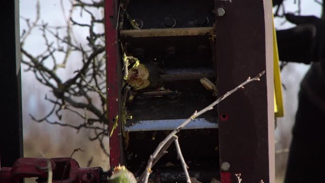 A man processes wood  with shredder.Device chopping wood to chips.One person in background.Close up