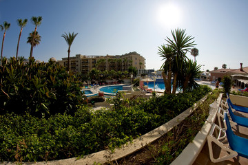 Palm trees, pool, sky, building and sun