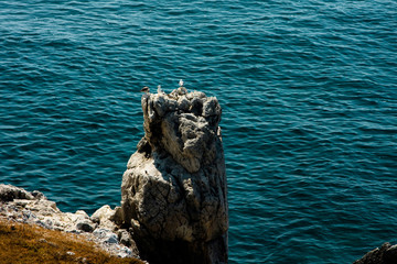 Fototapeta na wymiar Rock on a background of turquoise sea water