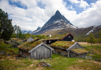 Traditional, grassy roofs of houses in Norway