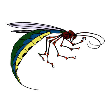 Vector illustration of an insect. Diagram with labeled parts of a wasp.