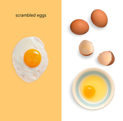 chicken eggs