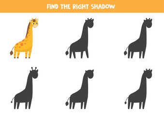 Find the correct shadow. Cute funny giraffe.