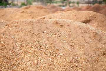 Sawdust or wood dust texture background. Wood sawdust floor texture background closeup.