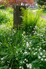 Fototapeta premium Old Cemetery in Torshavn (Faroe Islands)