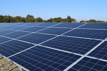 太陽電池パネル
