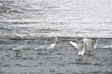 Obraz premium リハーサル