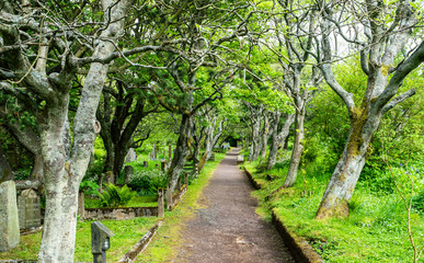 Old Cemetery in Torshavn (Faroe Islands)