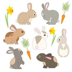Cute Rabbits and Bunnies