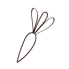 fresh carrot vegetable line style