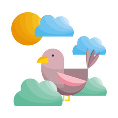 bird feather bushes clouds sun nature fauna