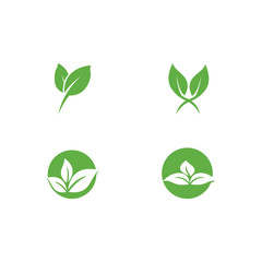 Set Leaf Logo Template vector