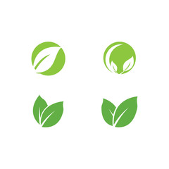 Set Leaf Logo Template vector