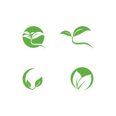 Set Leaf Logo Template vector