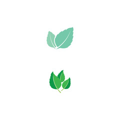 Leaf Mint Logo Template vector symbol
