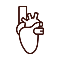 heart human organ line style