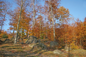 autumn in Jizerske hory