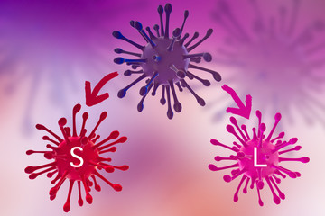 Coronavirus Splits into two strains S and L types.Image of Flu COVID-19 virus cell under the microscope on the blood.Coronavirus Covid-19 outbreak influenza background.Pandemic virus medical health. 3