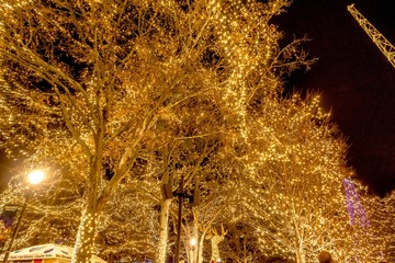 Naklejka premium christmas time winterfest celebration at carowinds amusement park in carolinas