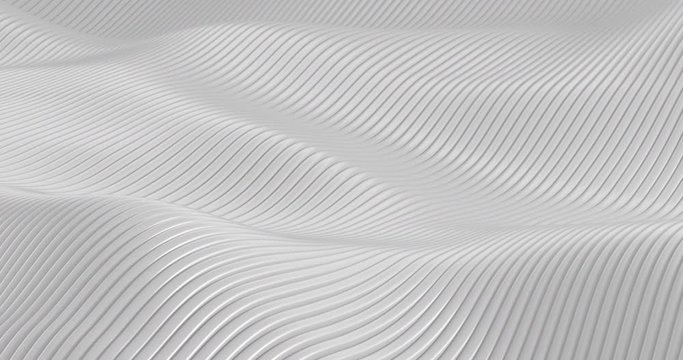 Hypnotic seamless loop of wavy lines .Abstract, corporate background.