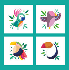 beauty birds foliage nature fauna cartoon set