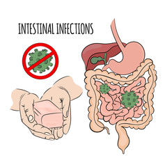 INTESTINAL INFECTIONS Prevention Soap Hands Coronavirus Covid 19 Health Human Epidemic Pandemic Risk Medicine Vector Illustration