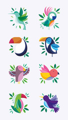 Obraz premium cute birds feather foliage nature fauna flora design