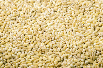 dry pearl barley texture background