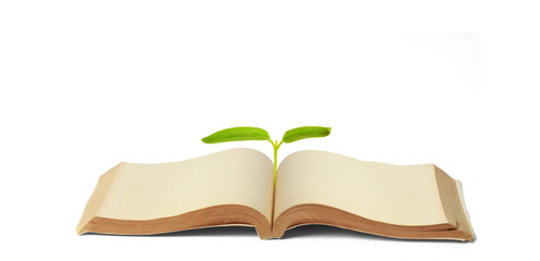  Close up open vintage old book